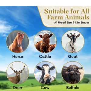 Himalayan Pink Salt Licks for Animals