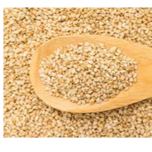Sesam seed