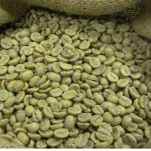 Green coffee( arabica/ robusta)