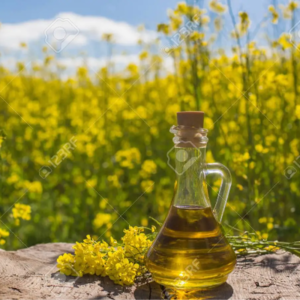 Rapeseed oil