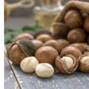 Macadamia
