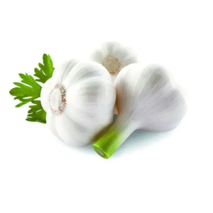 Fresh White Garlic