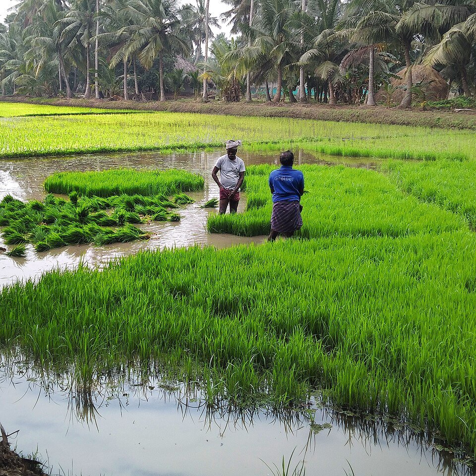 Once-off wound pulse irrigation system