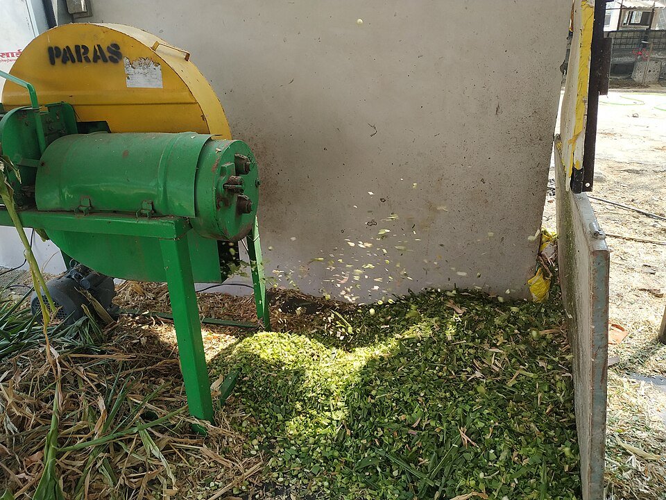 Tea Leaves Machine Cut