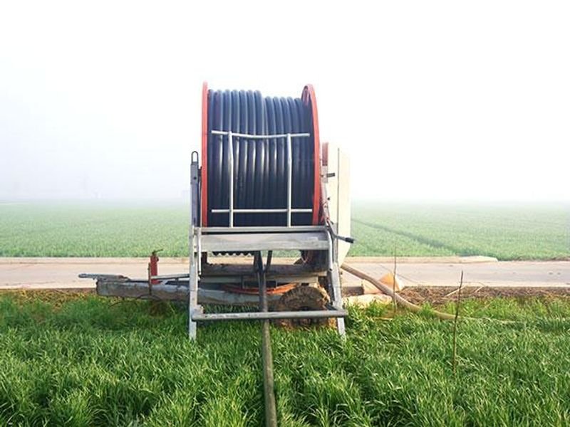 Flushing tube for cattle a.I.