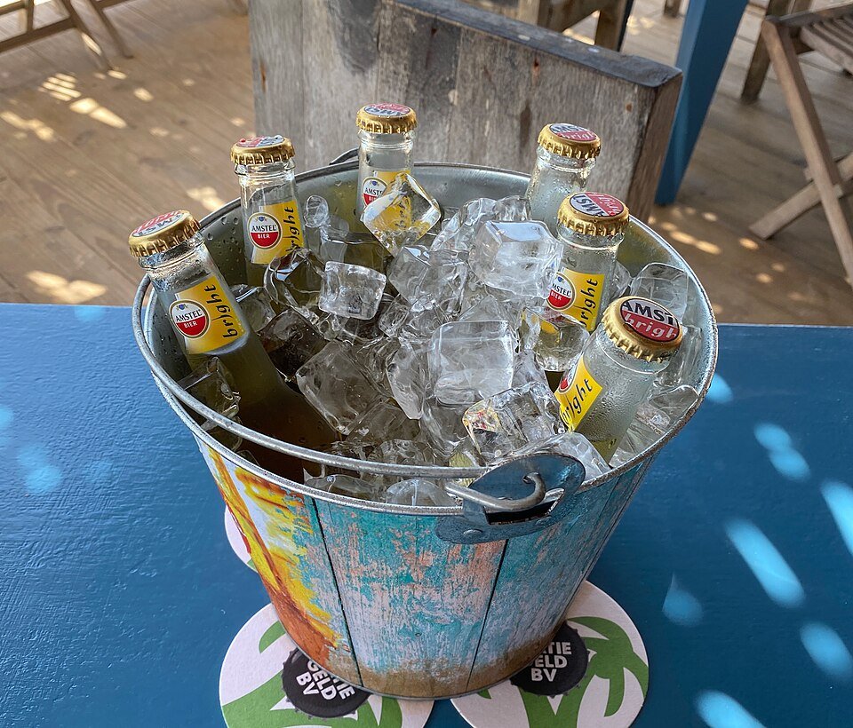 Bottle cooler