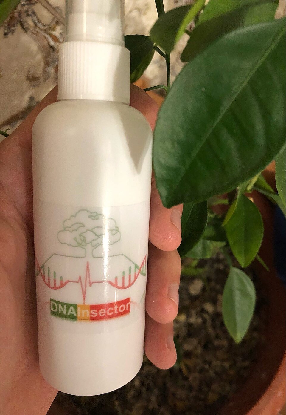 Shower Gel Bottle – Eye-Catching Design, Ideal for everyone House.