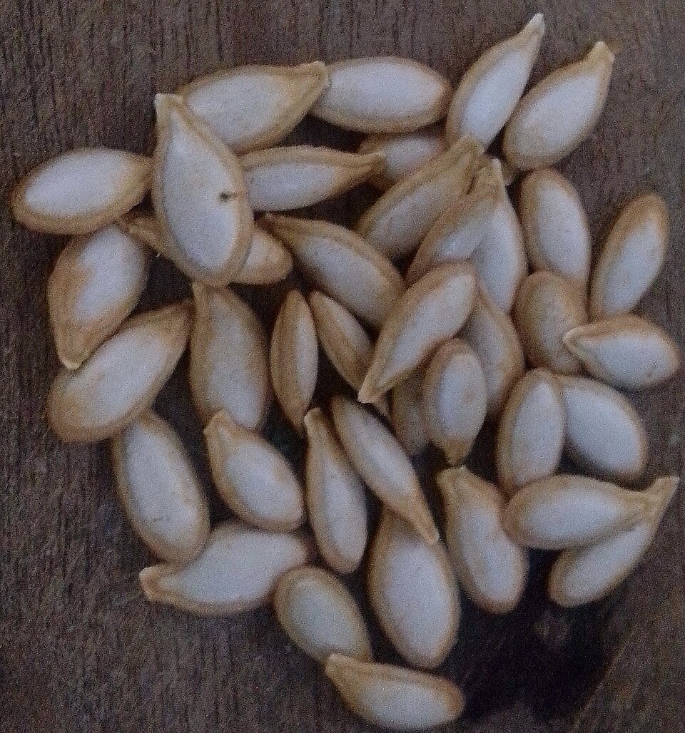 Cummin seed