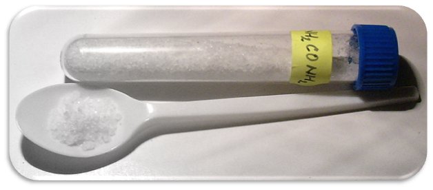 Autoclavable Polypropylene Measuring Jugs