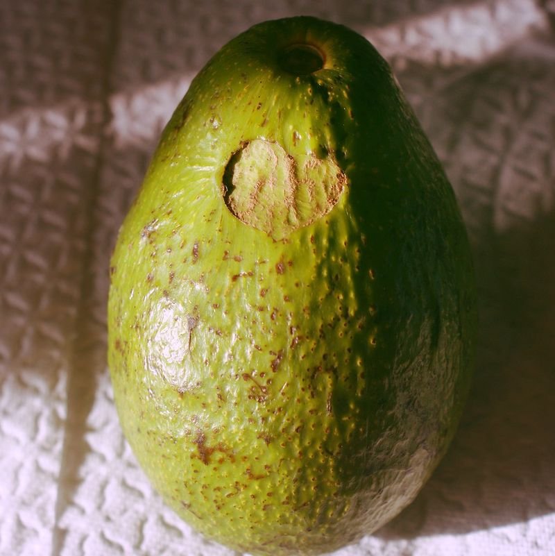 Avocado