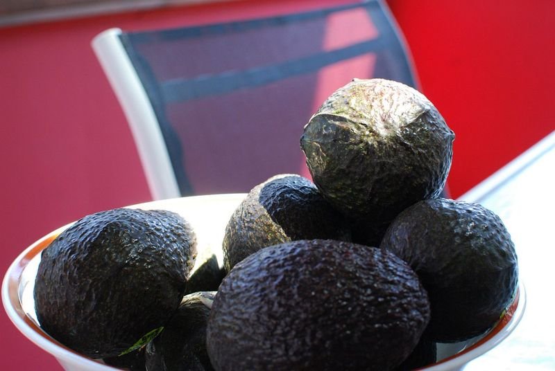 Hass Avocados