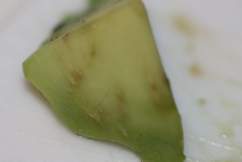 Avocado