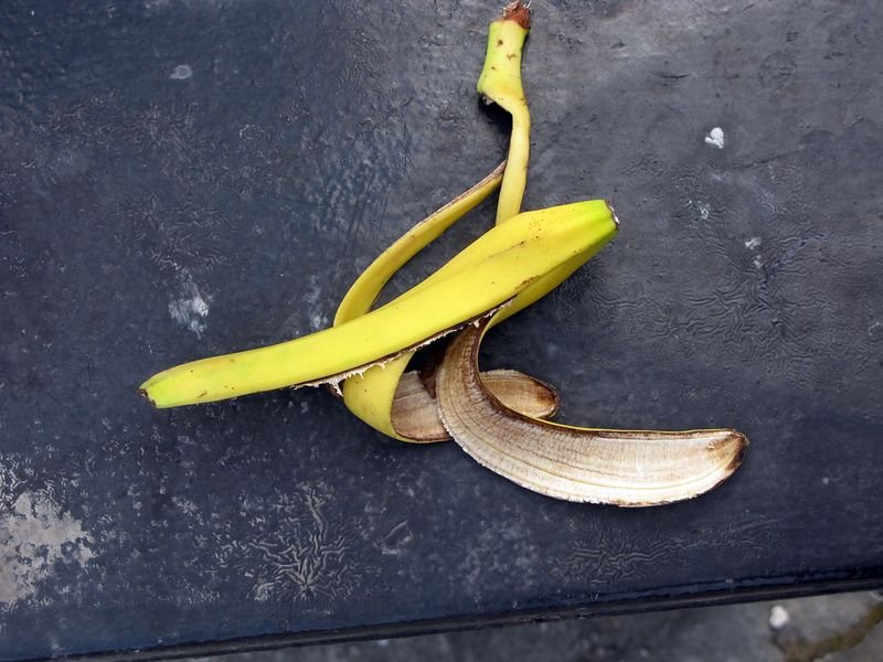 Banana Knife 1834