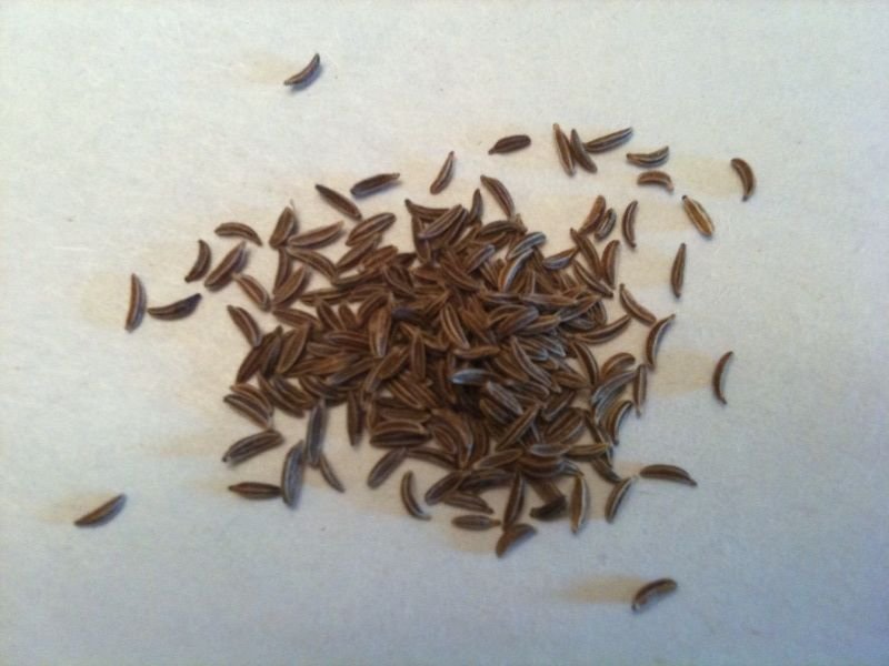 Wild Rice