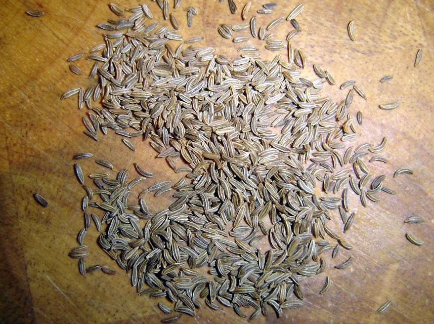 fennel seeds