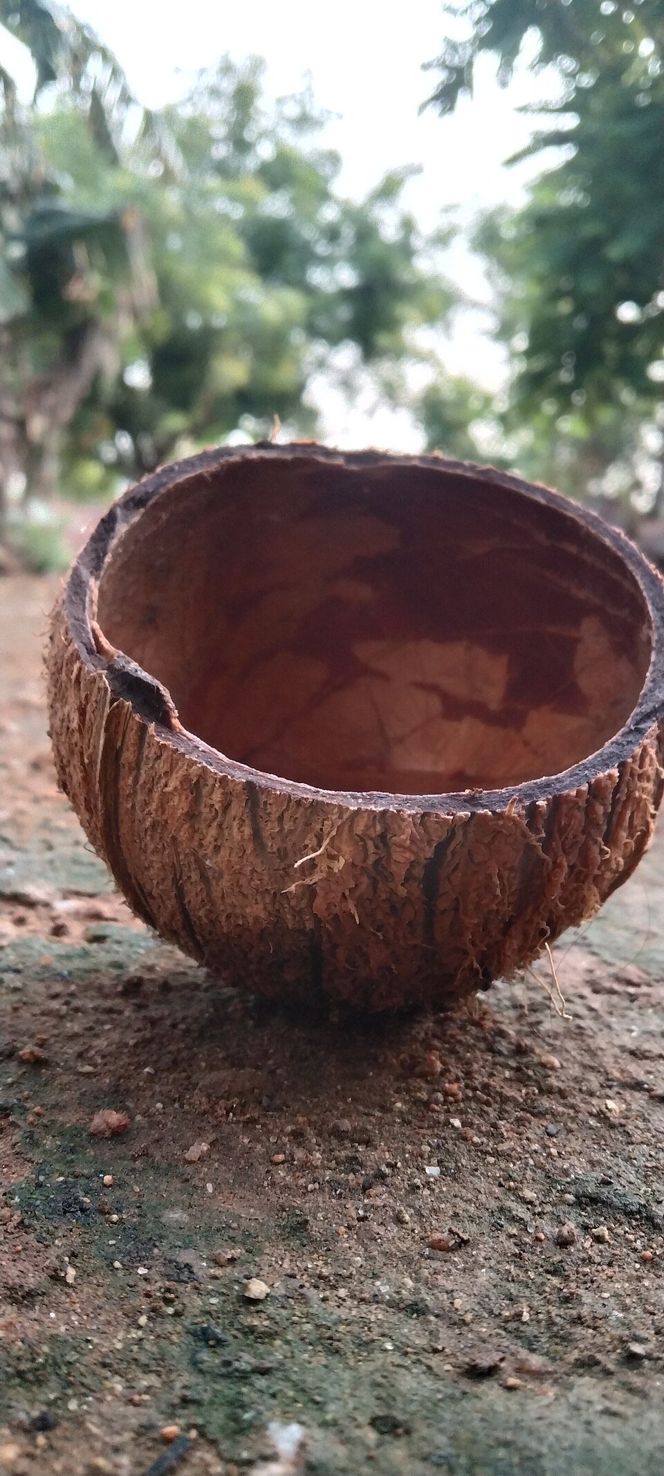 Banana Fiber Fruit Bowl