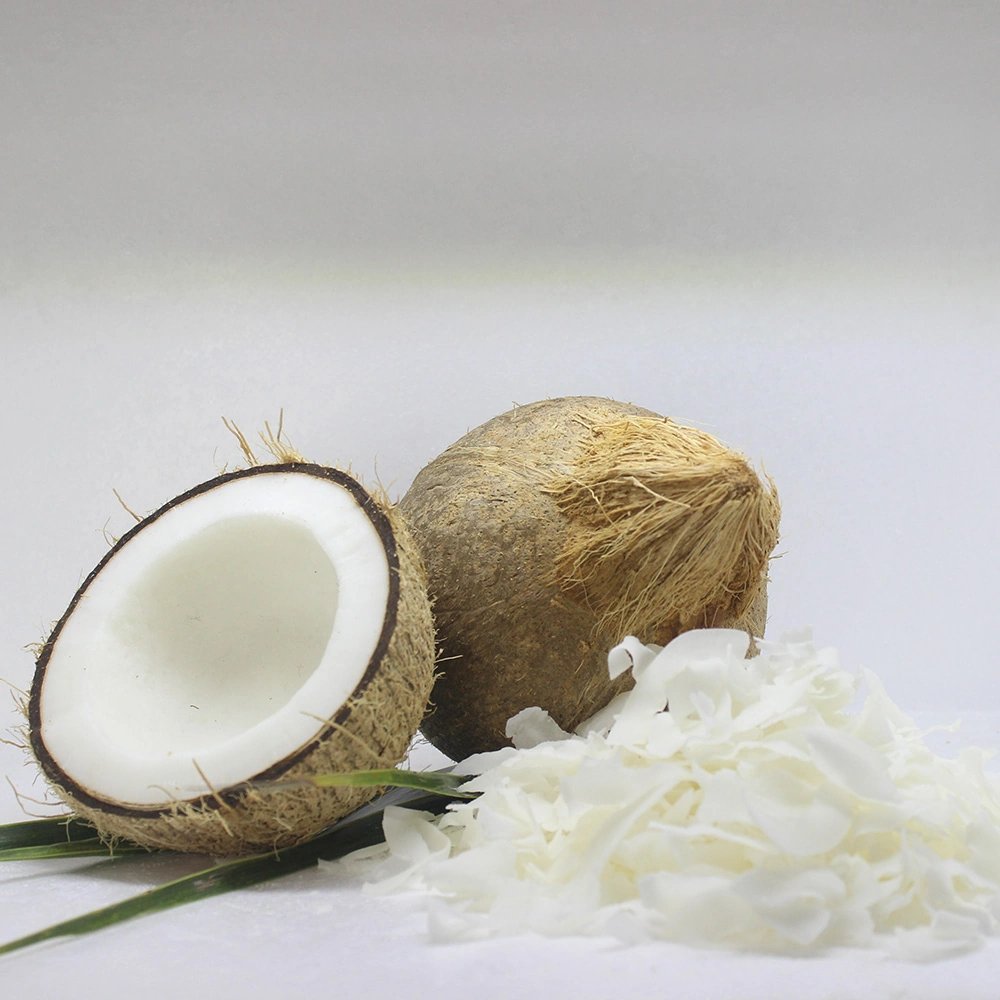 Nata De Coco in Syrup Coconut Jelly supplier for Beverages from VietNam