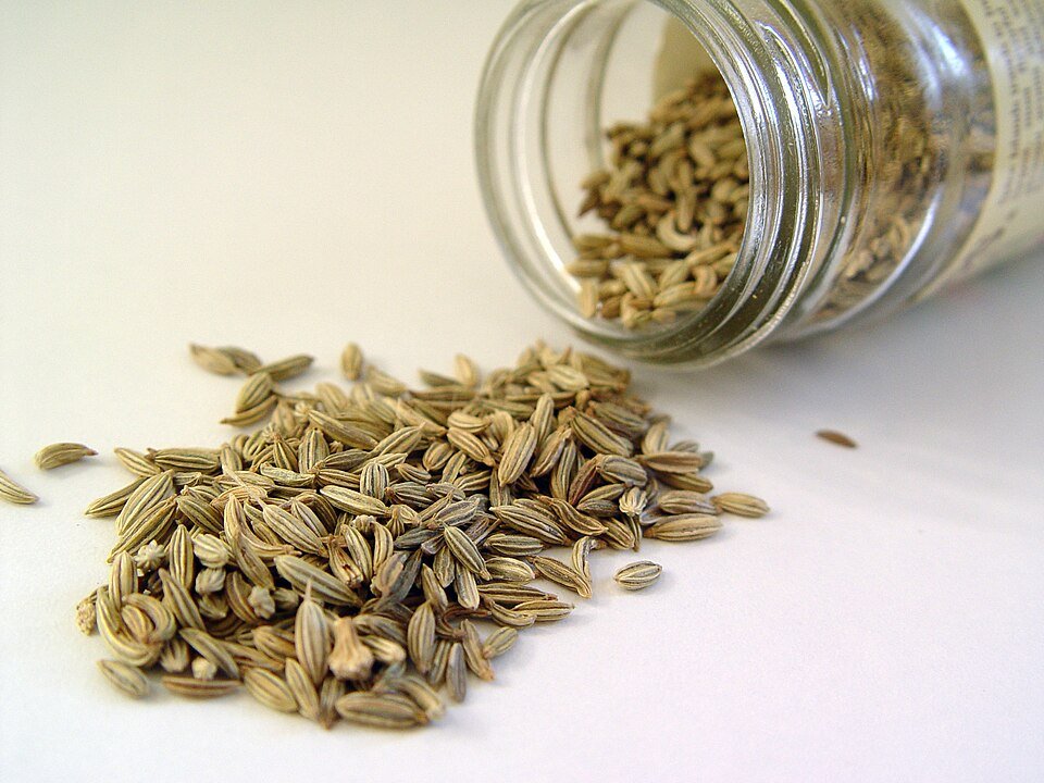 FENNEL SEEDS