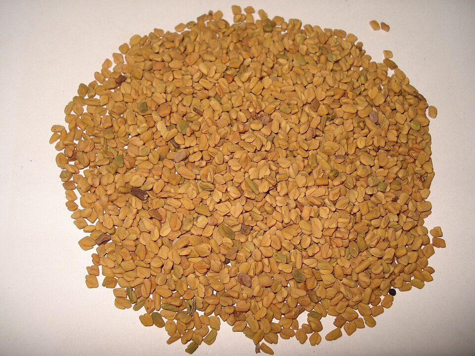 fenugreek