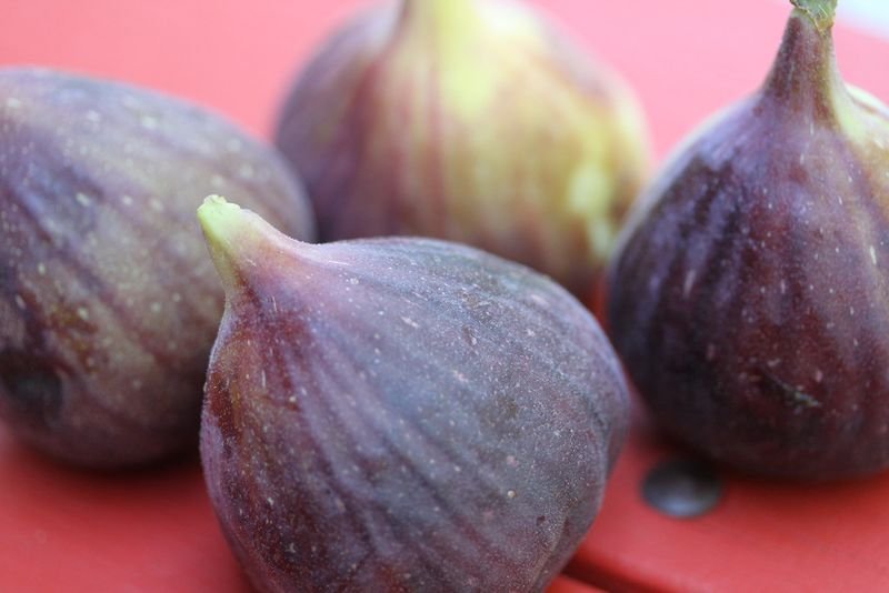 Frozen Figs