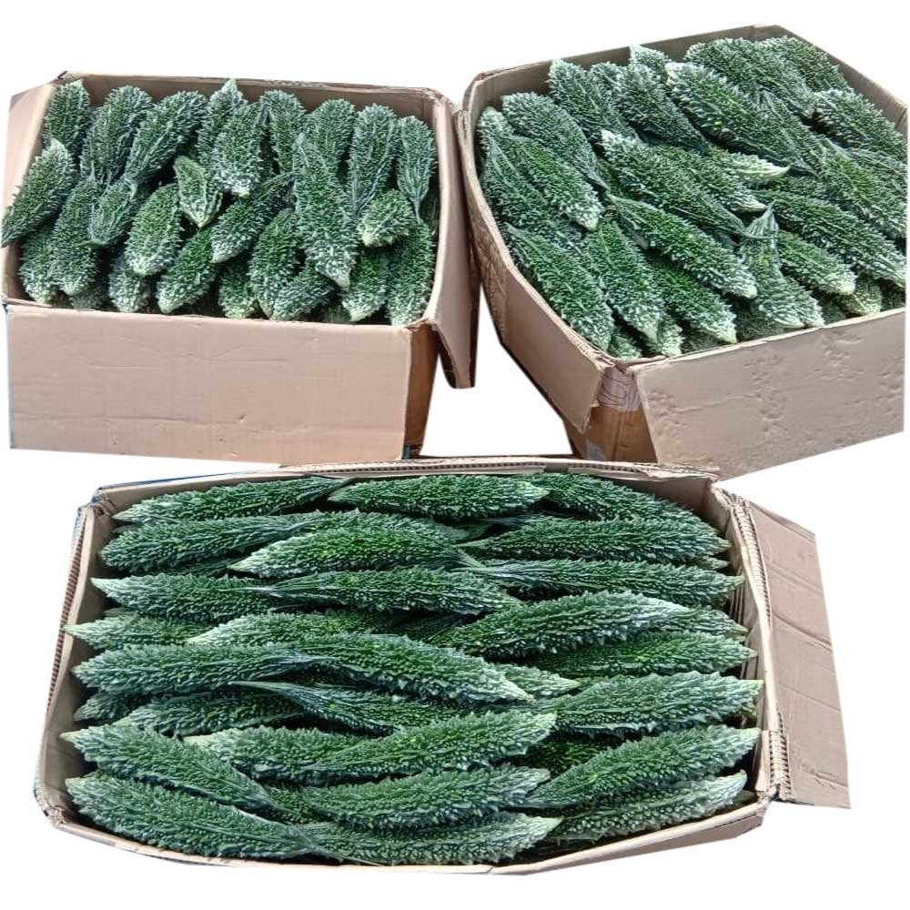 Banana Leave Viet Nam (frozen,  Fresh,  Dried)