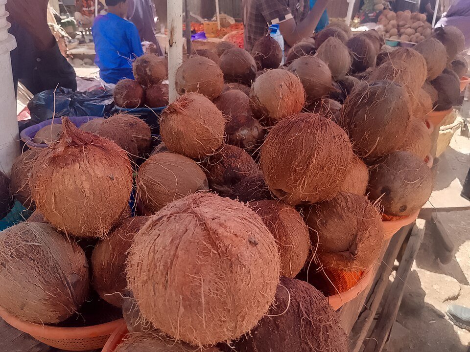 Coconut Shell Powder