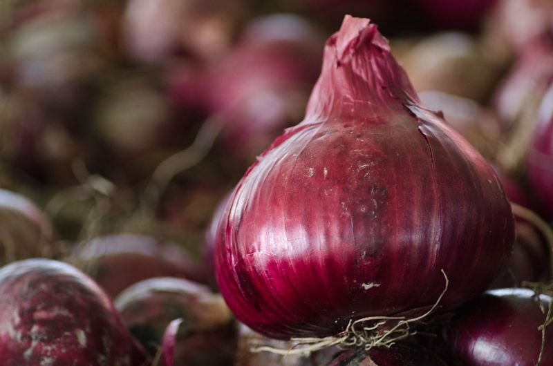 Fresh Garlic