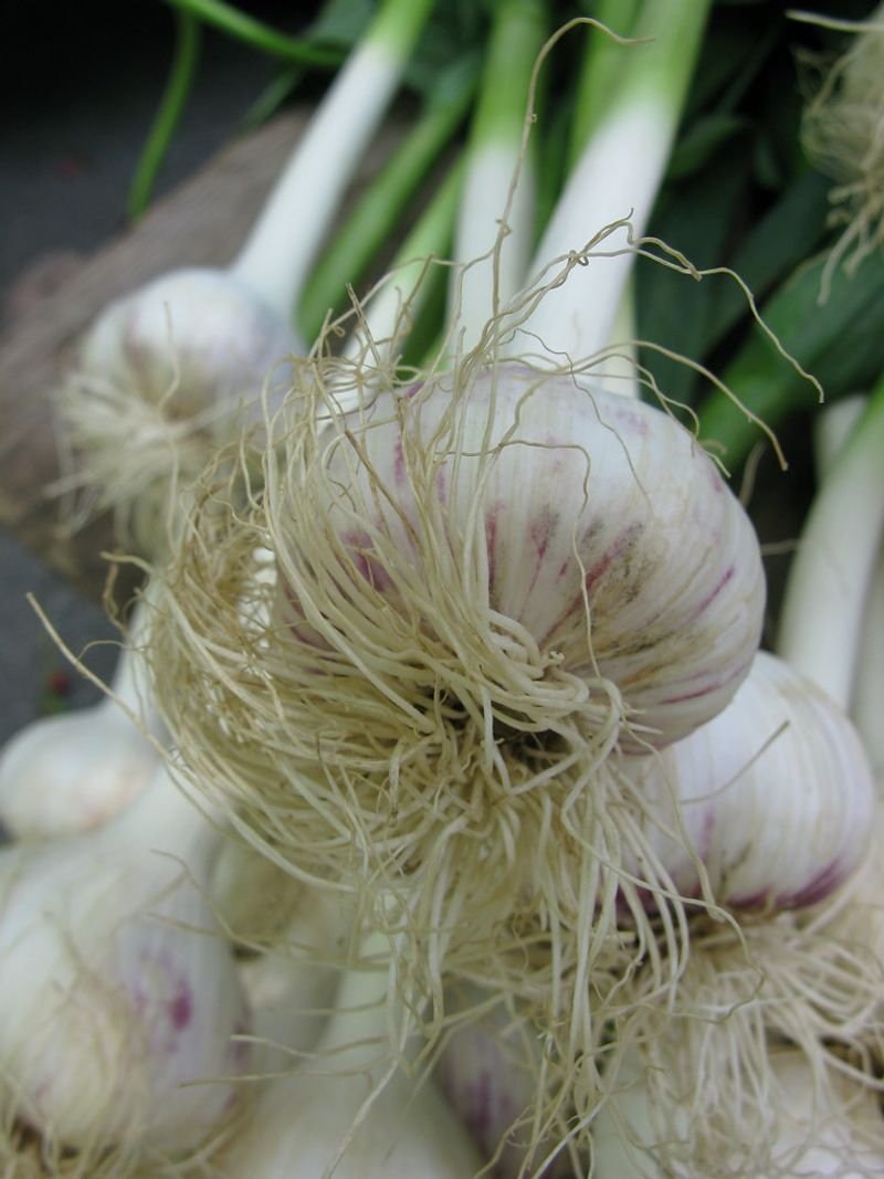 Onions, garlic, ginger