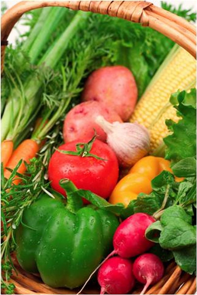 VEGETABLE