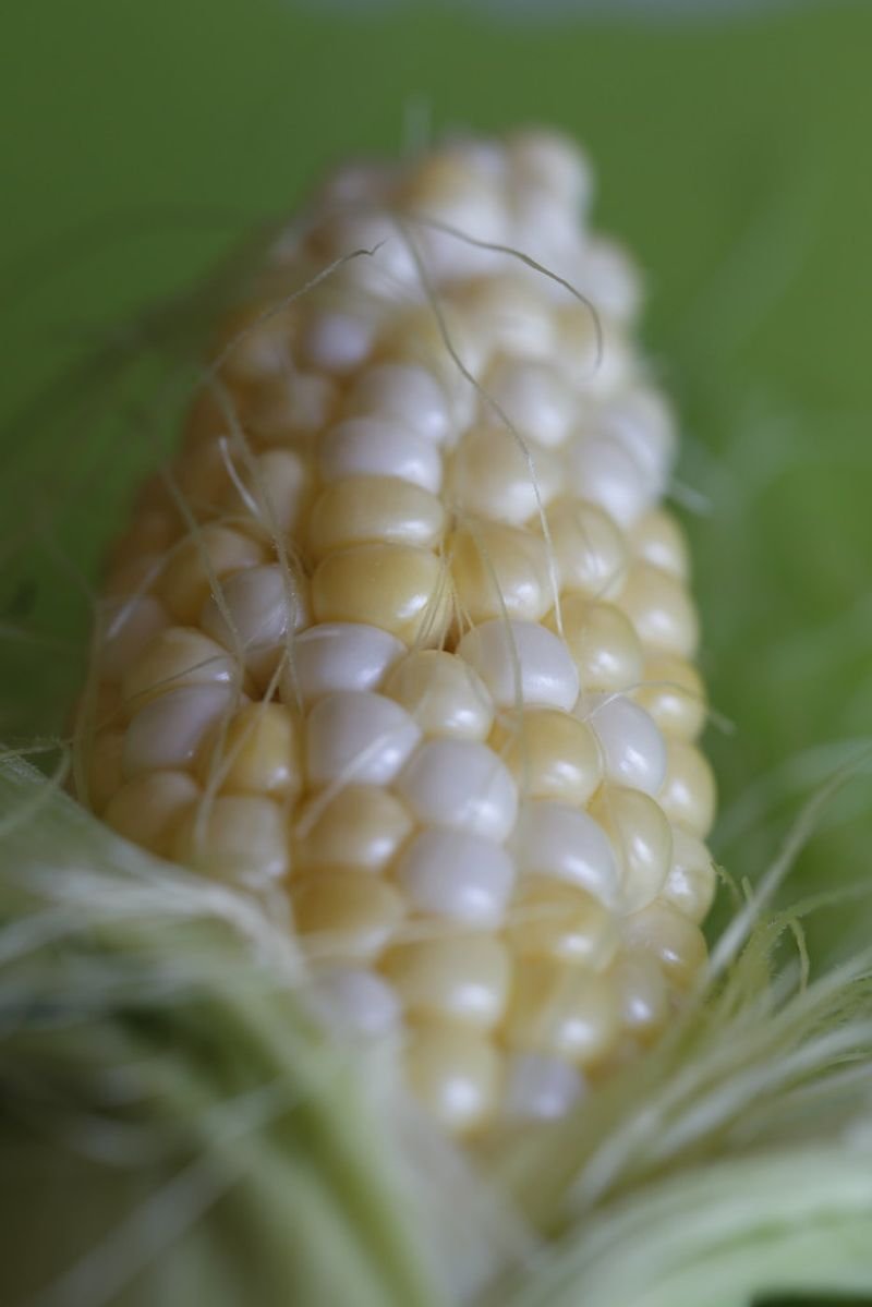 Corn Silk