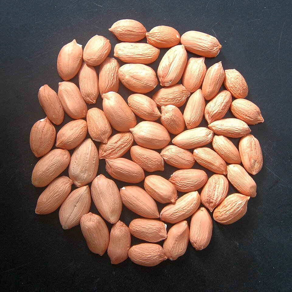 Salted Mountain Almond (conventional)