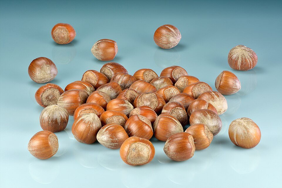 Hazelnut Flavour 1.100