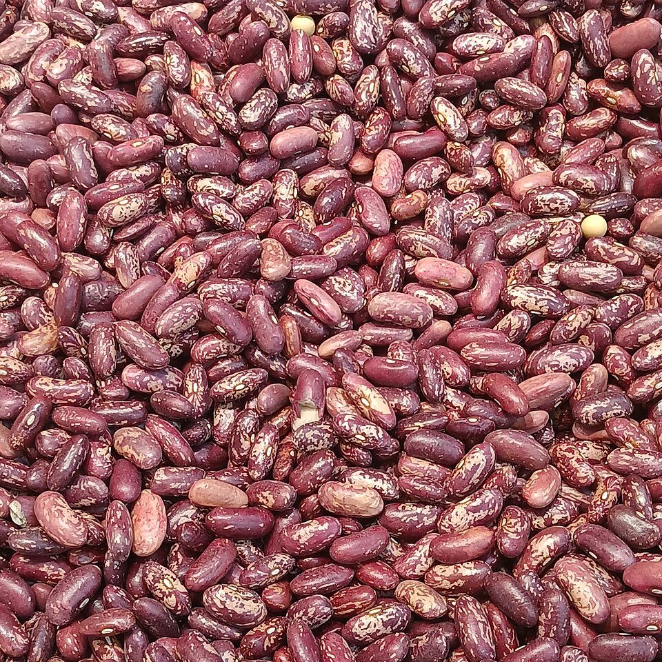 Munsiyari Rajma Red