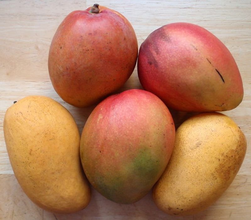Mango Pulp