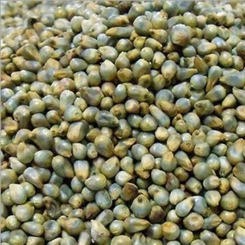 Green Gram Whole