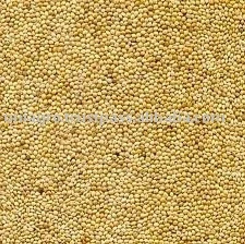 Sesame Seeds