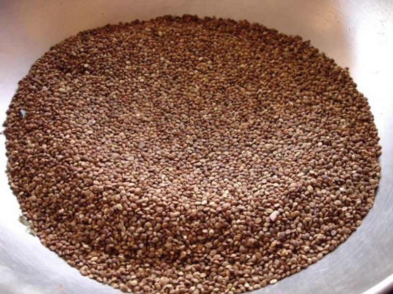 Continuous Nut Roasting Machine