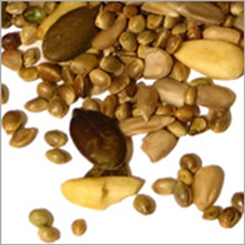 Cashew Nut