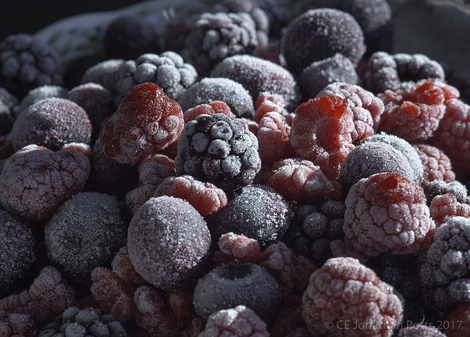 Frozen Blueberries