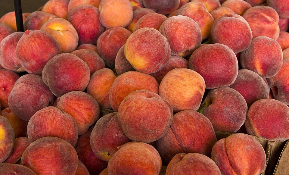 Kashmiri Fresh Apricot