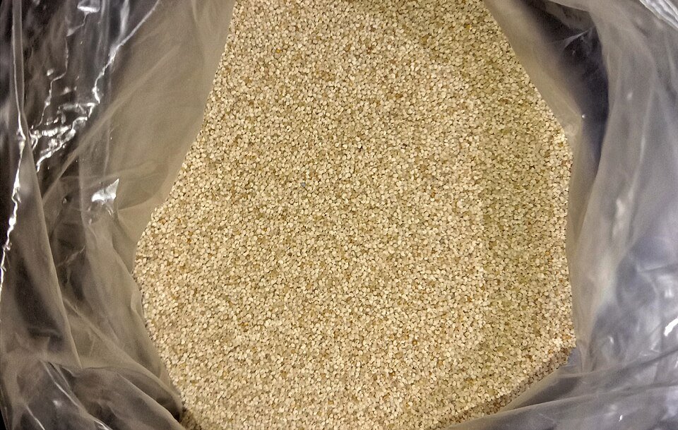 Sesame Seed