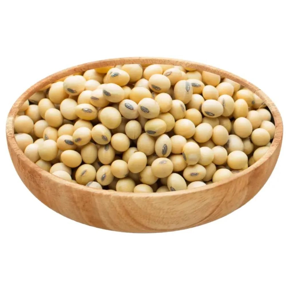 FOXNUT (MAKHANA)