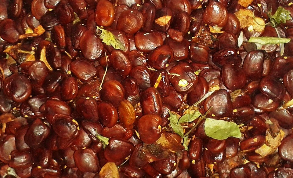 Dates & saffron & Raisin & pistachio
