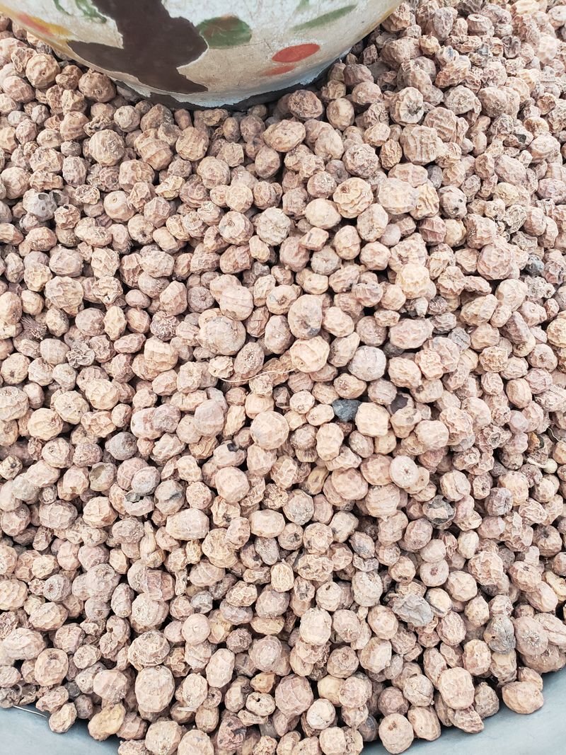 Ground nuts