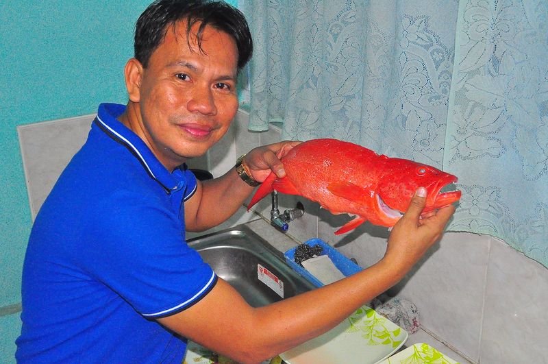Myrobalan