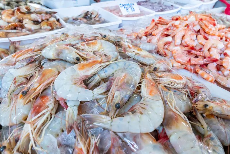 Seafood