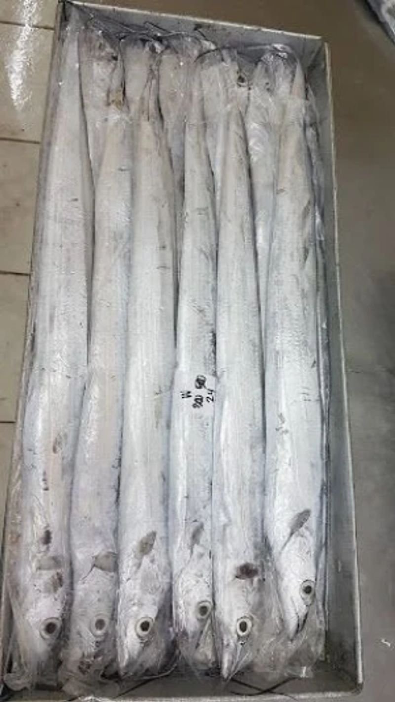 pvc medical soft tube scrap sale, pvc scrap for sale, pvc tube scrap sale, soft pvc tube scrap for sale medical tube pvc supplier