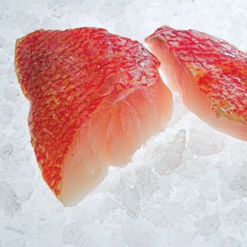 Red Snapper