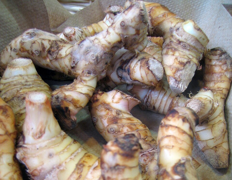 bulb turmeric