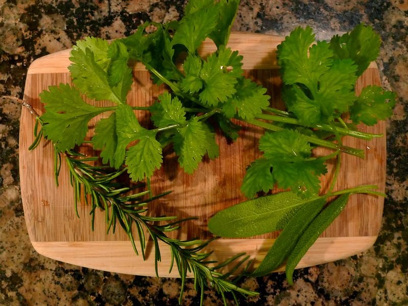 Thyme Leaf